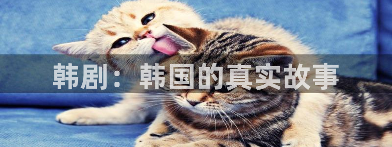 羞羞漫画黄在线观看