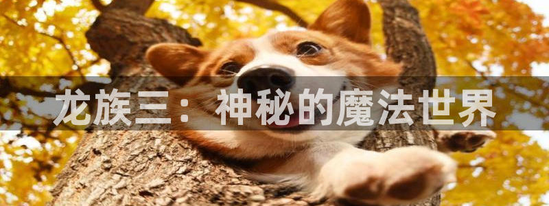 《羞羞漫画sss》